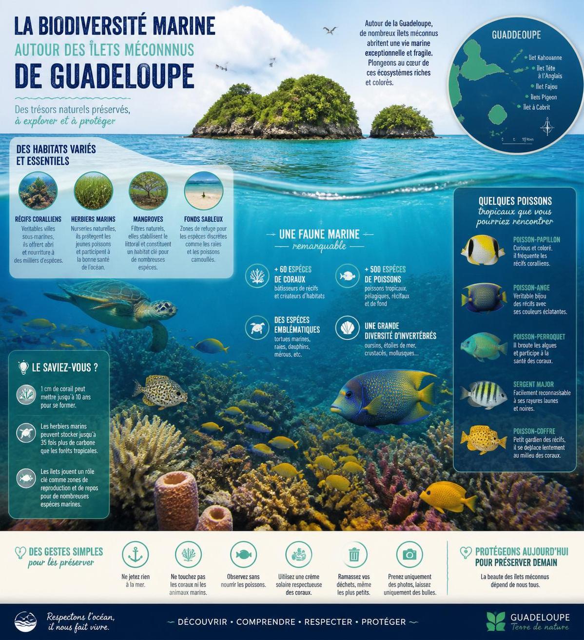 découvrez les îles secrètes de l'archipel de guadeloupe, des lieux préservés et méconnus que peu de touristes explorent. partez à l'aventure hors des sentiers battus pour une expérience unique.