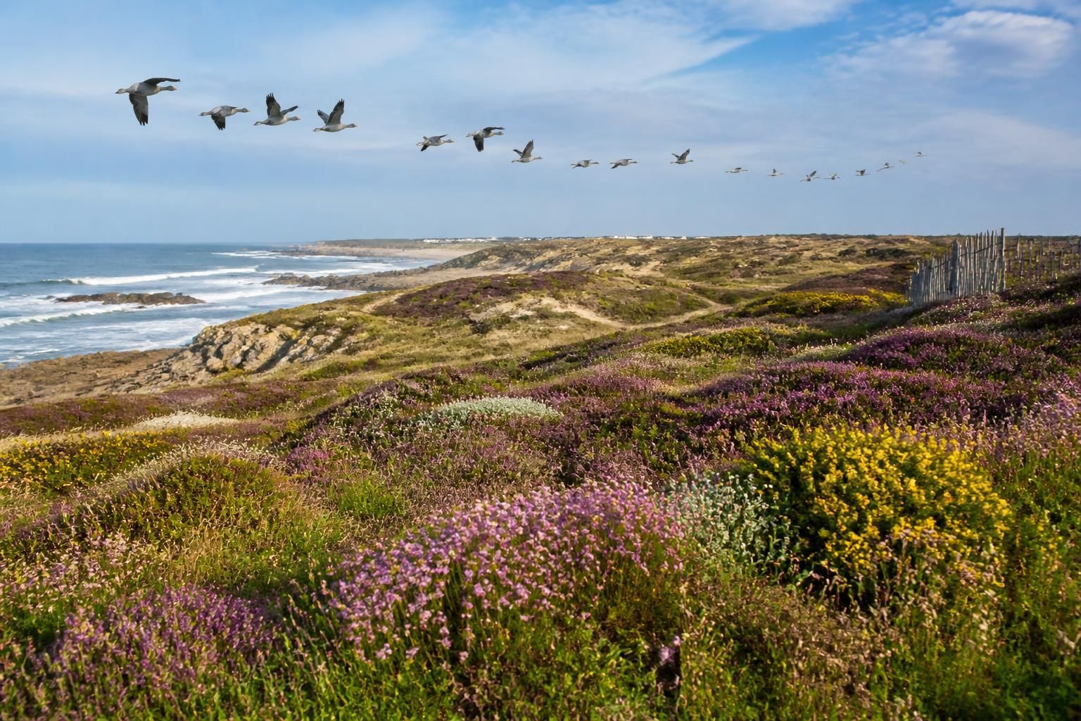 découvrez la côte sauvage en loire-atlantique, un littoral atlantique préservé et peu exploré, parfait pour les aventuriers en quête de paysages naturels et d'authenticité loin des foules.
