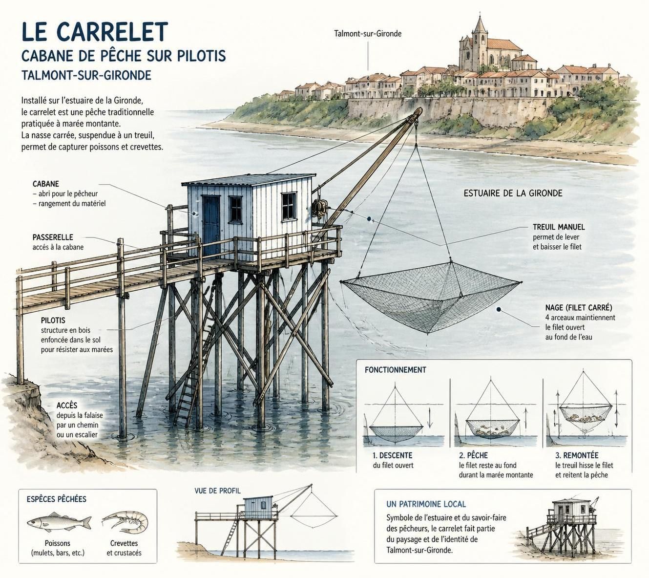 découvrez talmont-sur-gironde, la forteresse médiévale majestueusement perchée sur l'estuaire, un trésor méconnu à explorer loin des foules.