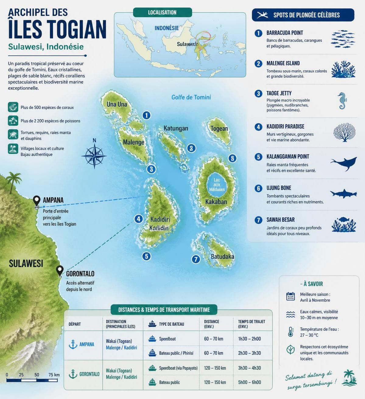 découvrez les îles coralliennes des togian en indonésie, un paradis méconnu près de sulawesi que bali a éclipsé pendant des décennies, offrant des paysages naturels préservés et une richesse marine exceptionnelle.