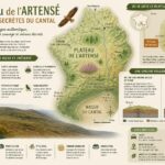 Niue : la nation-île du Pacifique la moins visitée au monde, où l’on nage avec les baleines à bonne distance découvrez le plateau de l'artense et les landes secrètes du cantal, une auvergne authentique et préservée, loin de l'effervescence du puy-de-dôme et de vulcania.